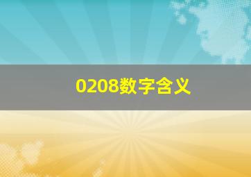 0208数字含义