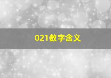 021数字含义