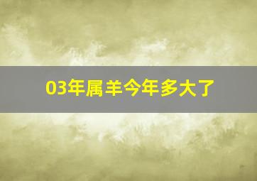 03年属羊今年多大了