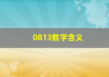 0813数字含义