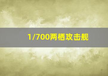 1/700两栖攻击舰