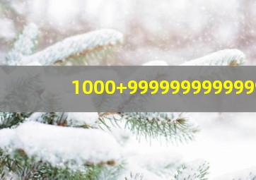 1000+9999999999999