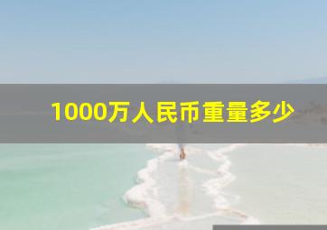 1000万人民币重量多少