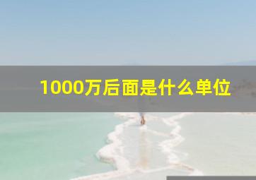 1000万后面是什么单位