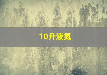 10升液氮