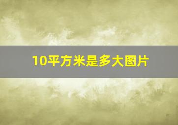 10平方米是多大图片