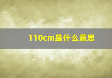 110cm是什么意思