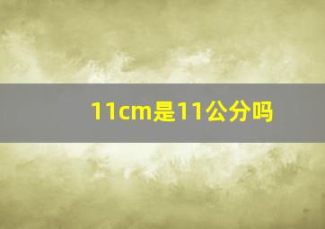 11cm是11公分吗