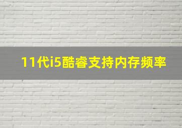 11代i5酷睿支持内存频率