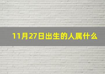 11月27日出生的人属什么