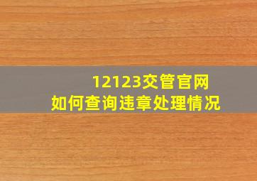 12123交管官网如何查询违章处理情况