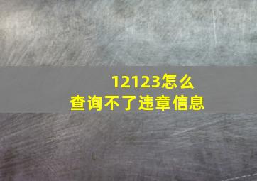 12123怎么查询不了违章信息