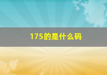 175的是什么码