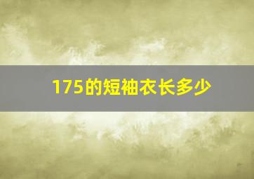 175的短袖衣长多少