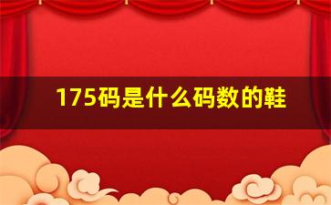 175码是什么码数的鞋