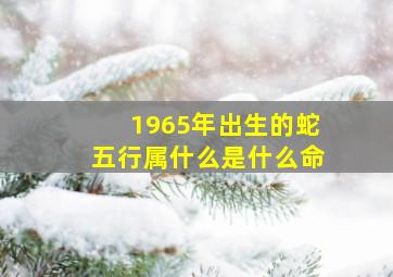 1965年出生的蛇五行属什么是什么命