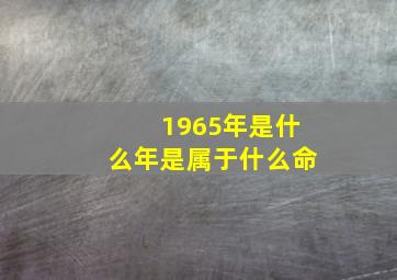 1965年是什么年是属于什么命