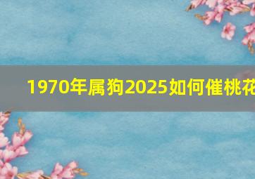 1970年属狗2025如何催桃花