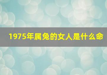 1975年属兔的女人是什么命