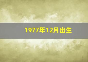 1977年12月出生