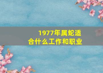 1977年属蛇适合什么工作和职业