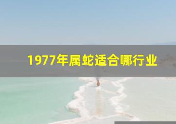 1977年属蛇适合哪行业