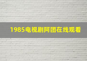 1985电视剧阿团在线观看