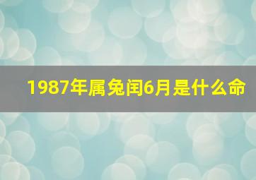 1987年属兔闰6月是什么命