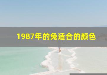 1987年的兔适合的颜色