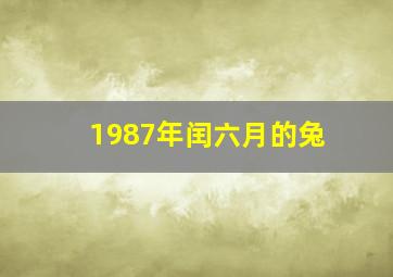 1987年闰六月的兔