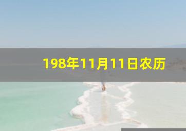 198年11月11日农历