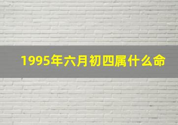 1995年六月初四属什么命