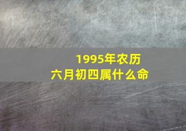 1995年农历六月初四属什么命