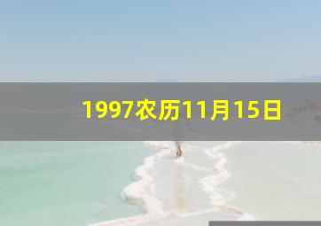 1997农历11月15日