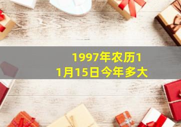 1997年农历11月15日今年多大