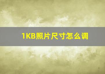 1KB照片尺寸怎么调