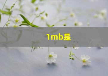 1mb是