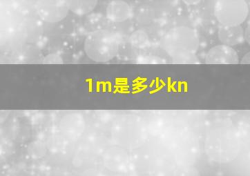 1m是多少kn