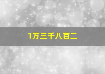 1万三千八百二