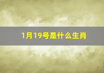 1月19号是什么生肖