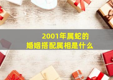 2001年属蛇的婚姻搭配属相是什么