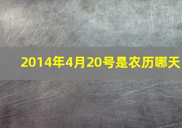 2014年4月20号是农历哪天