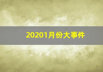 20201月份大事件