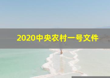 2020中央农村一号文件