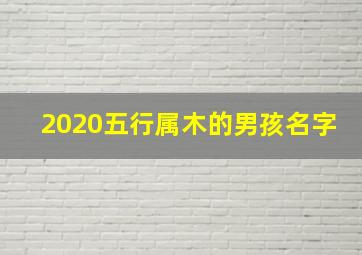 2020五行属木的男孩名字