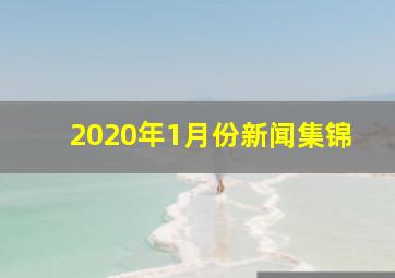 2020年1月份新闻集锦