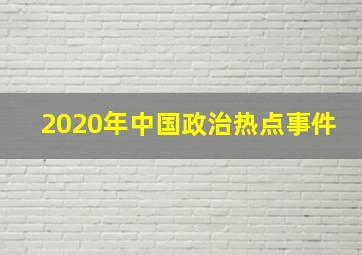 2020年中国政治热点事件