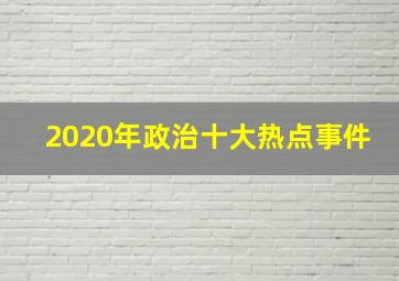 2020年政治十大热点事件