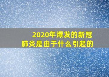 2020年爆发的新冠肺炎是由于什么引起的