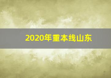 2020年重本线山东